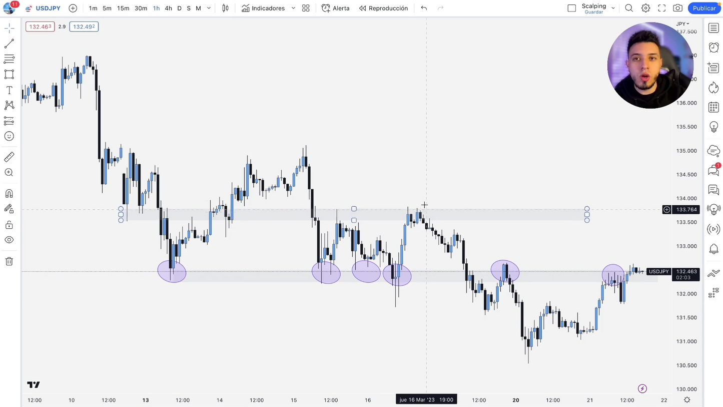 Pack 2 Cursos Felipe López - Price Action Academy y Profit Line System 📈📗