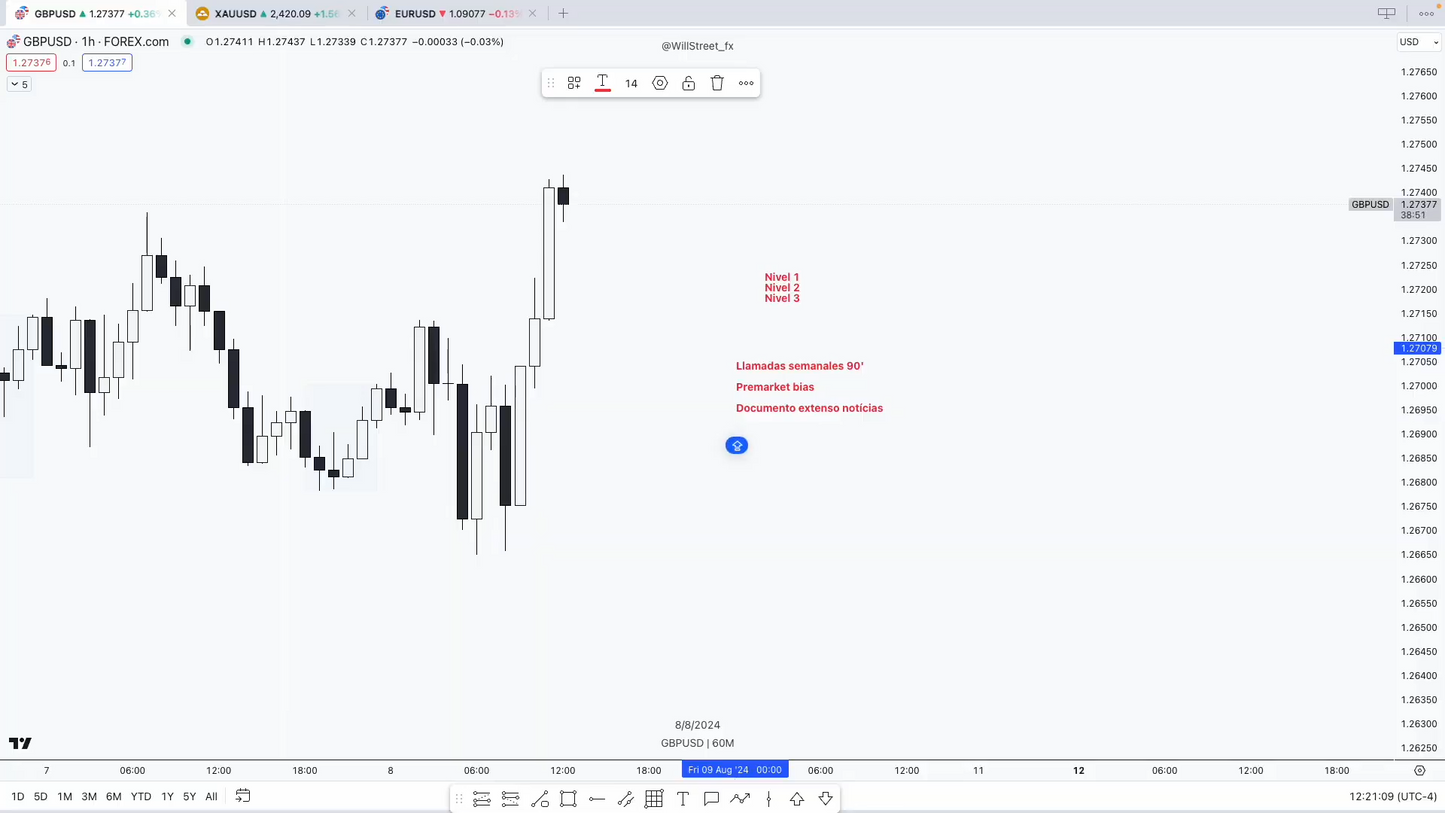 Curso Will Street Academy en Español - Guillem Bordas 📘📈