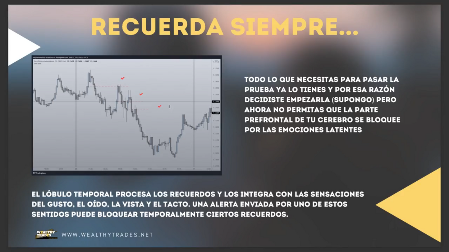 Curso Mitad del Año Fondeado - Sebastián Rodriguez Sensei Wealthy Trades 📙📈