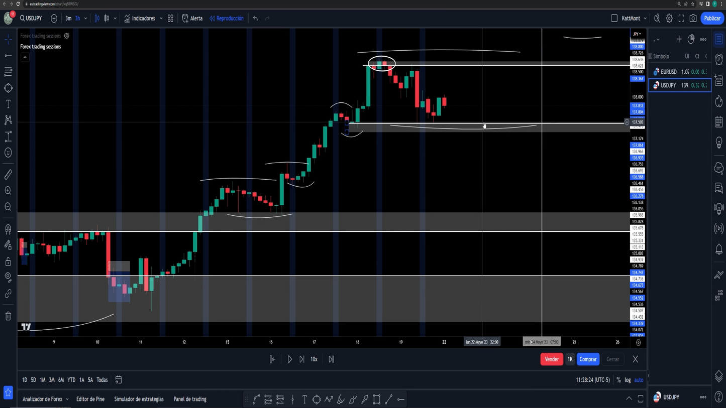 Curso Katt Mont - Método Pipsus 📕📈