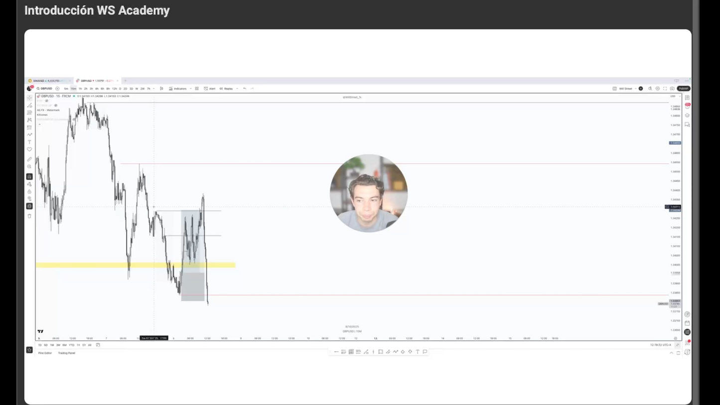 Curso Will Street Academy 2.0 (Octubre 2025) - Guillem Bordas 📘📈