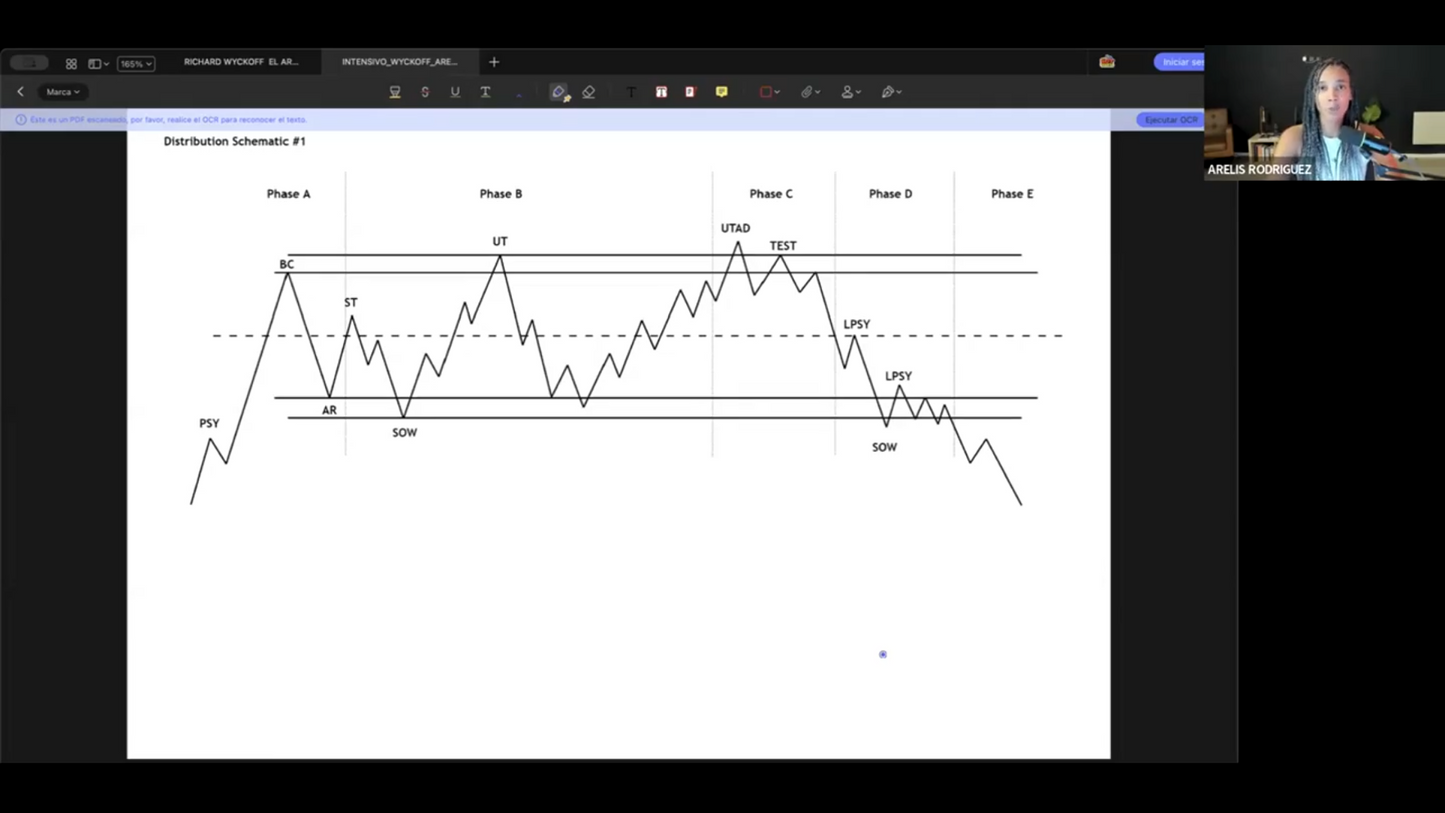 Pack 2 Cursos Arelis Rodríguez (Gold Trading Academy) 📕📈