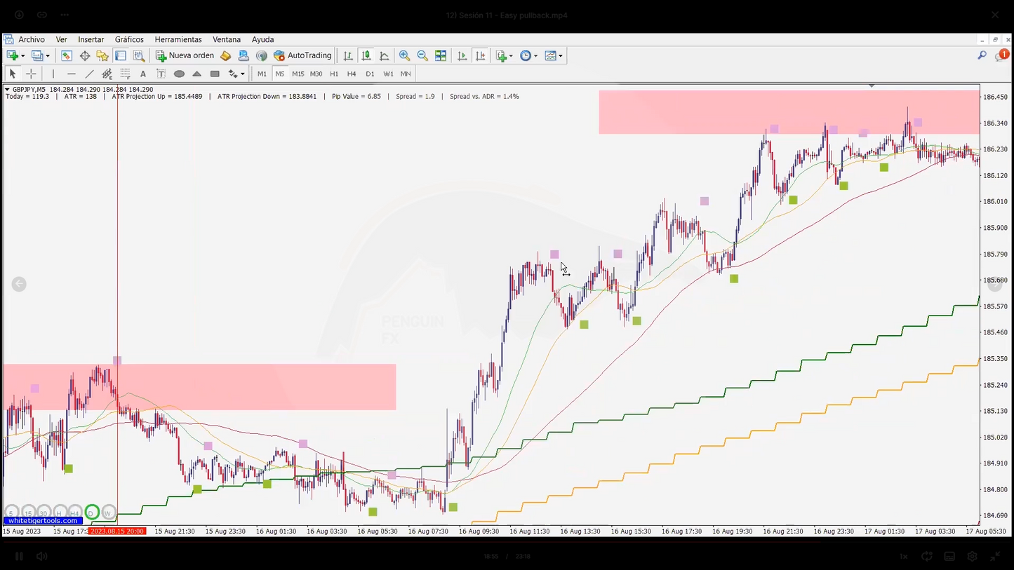 Curso Gustavo Guerra - PenguinFx Academy 📈📘