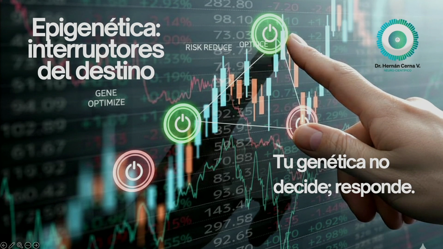 Curso Yoel Sardiñas - My Best Investment Year 2026 📈📗