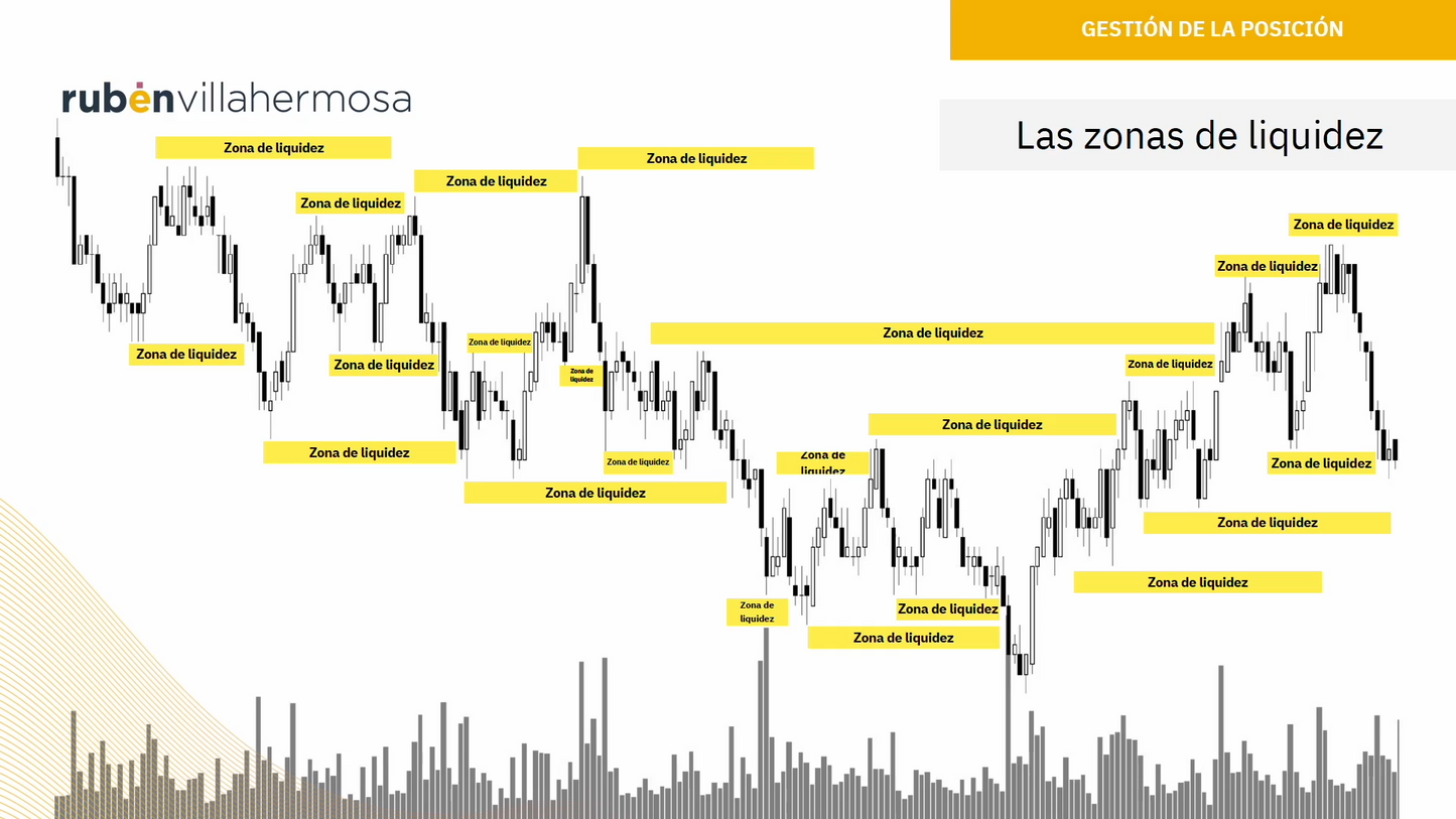 Curso Rubén Villahermosa - Programa Experto Wyckoff