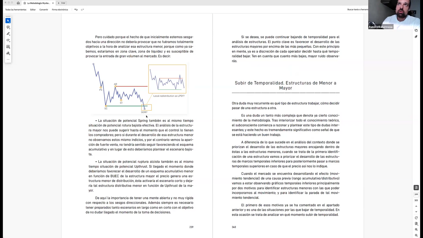 Curso Rubén Villahermosa - Programa Experto Wyckoff