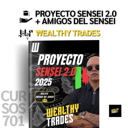 Proyecto Sensei 2.0 + Amigos del Sensei (Grupo VIP) 2025 - Sebastián Rodríguez📘📈